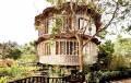 В Индонезии построили бочкообразный дом на «ножках» из бамбука